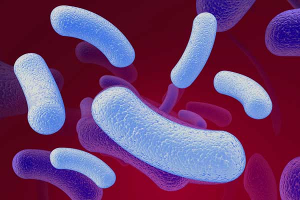 Probiotics good versus bad bacteria, digestive problems
