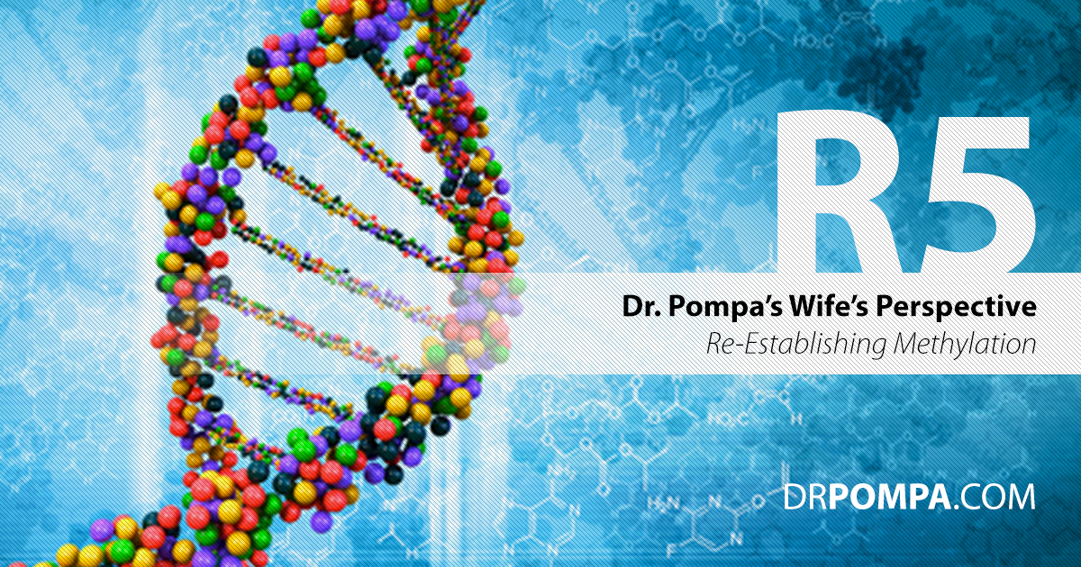 Merily Pompa, Reestablishing Methylation